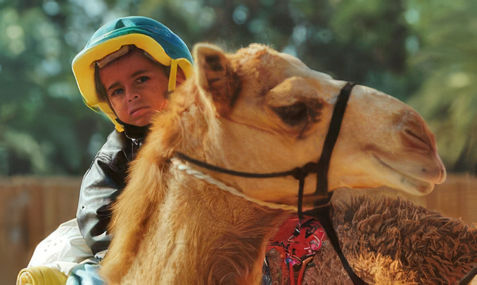 jungerJockey, Dubai,Photography 2000